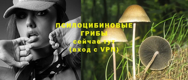 ECSTASY Абаза