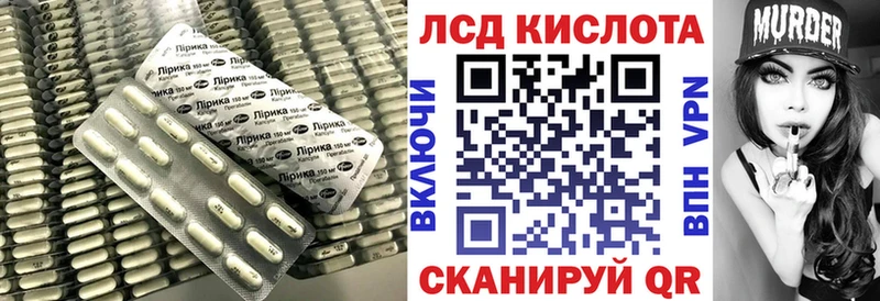 дарнет шоп  Нефтегорск  OMG вход  LSD-25 экстази кислота 
