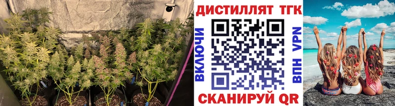 ТГК вейп с тгк  купить наркоту  Нефтегорск 