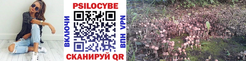 Галлюциногенные грибы MAGIC MUSHROOMS  OMG зеркало  Нефтегорск 